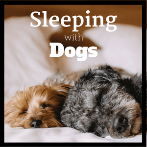 sleeping with dogs